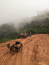 Load image into Gallery viewer, Giàng Pằng Dark (200g cake)