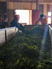 Load image into Gallery viewer, An Introduction to Vietnamese Tea: A Guided Tasting Class