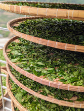 Load image into Gallery viewer, Exploring Vietnamese Oolong Tea: A Guided Tasting Class