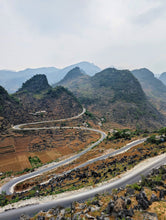 Load image into Gallery viewer, Lũng Phìn Small Leaf Green