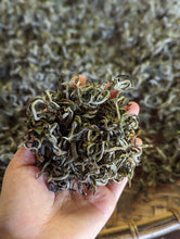 Load image into Gallery viewer, Misty Highland Green