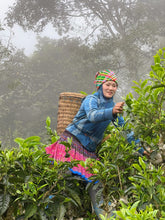 Load image into Gallery viewer, An Introduction to Vietnamese Tea: A Guided Tasting Class