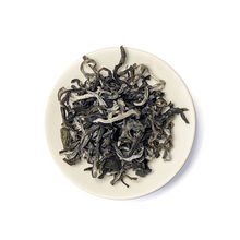 Load image into Gallery viewer, Misty Highland Green