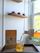 Load image into Gallery viewer, Hario Cold Brew Tea Bottle