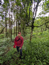 Load image into Gallery viewer, Y Tý Forest White
